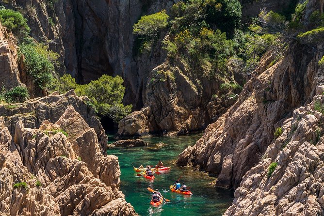 Costa Brava Kayaking and Snorkeling Small Group Tour with Lunch - Should you book it?