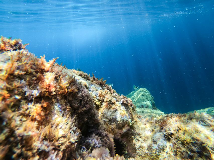 Costa Brava: Sea Caves Kayaking and Snorkeling Tour - Who will enjoy this tour most