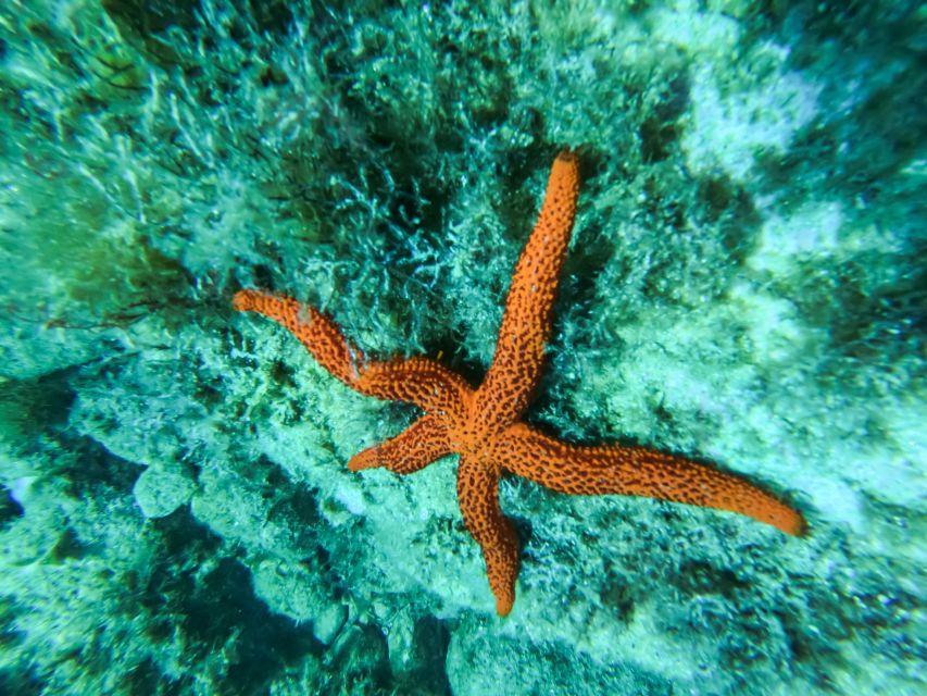 Costa Brava: Sea Caves Kayaking and Snorkeling Tour - Booking flexibility and weather judgment