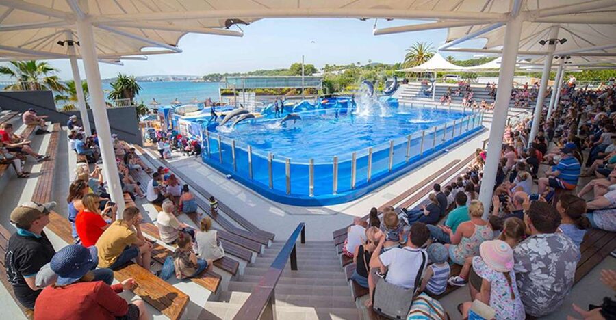 Costa d'en Blanes: Entry Ticket for Marineland Mallorca - Key points to know before you go