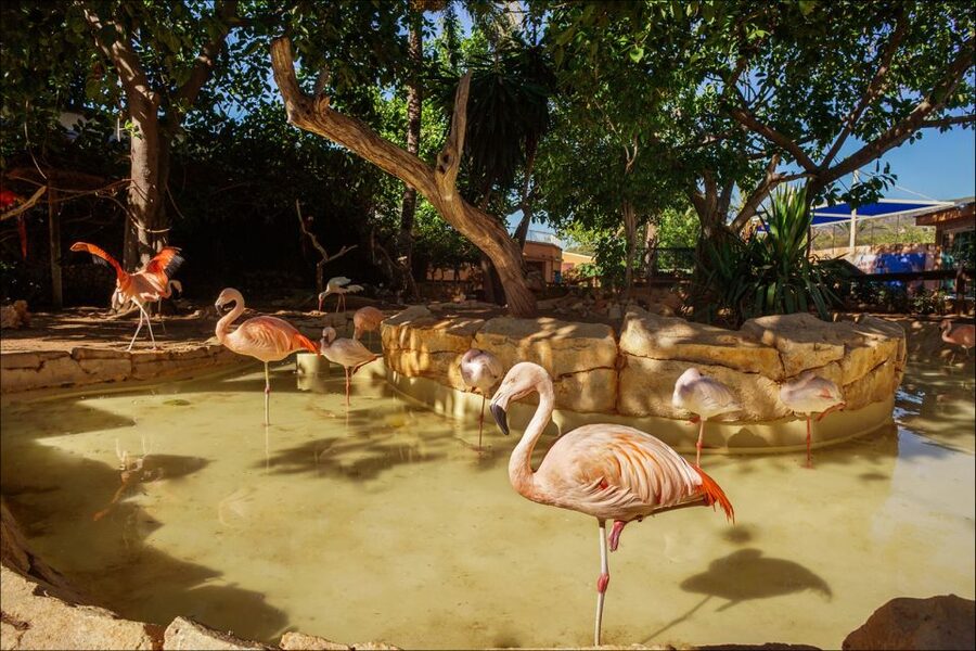 Costa d'en Blanes: Entry Ticket for Marineland Mallorca - Three aquariums show sharks and tropical fish
