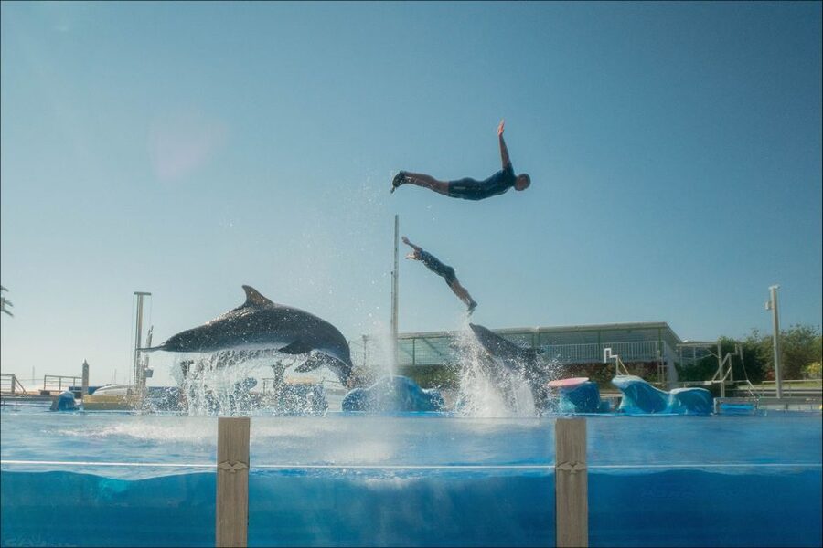 Costa d'en Blanes: Entry Ticket for Marineland Mallorca - The Tropical House brings iguanas and poison frogs indoors