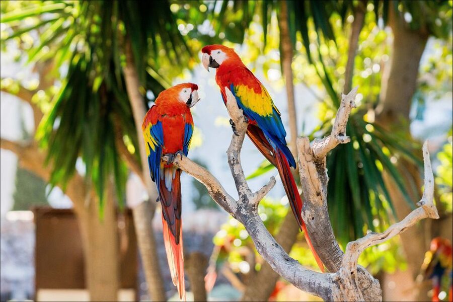 Costa d'en Blanes: Entry Ticket for Marineland Mallorca - A compact park can be a strength or a weakness