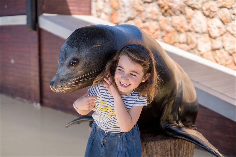 Costa d'en Blanes: Entry Ticket for Marineland Mallorca - Who will enjoy this visit most?