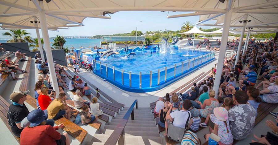 Costa d'en Blanes: Entry Ticket for Marineland Mallorca - Sea lions and exotic birds add two different kinds of shows