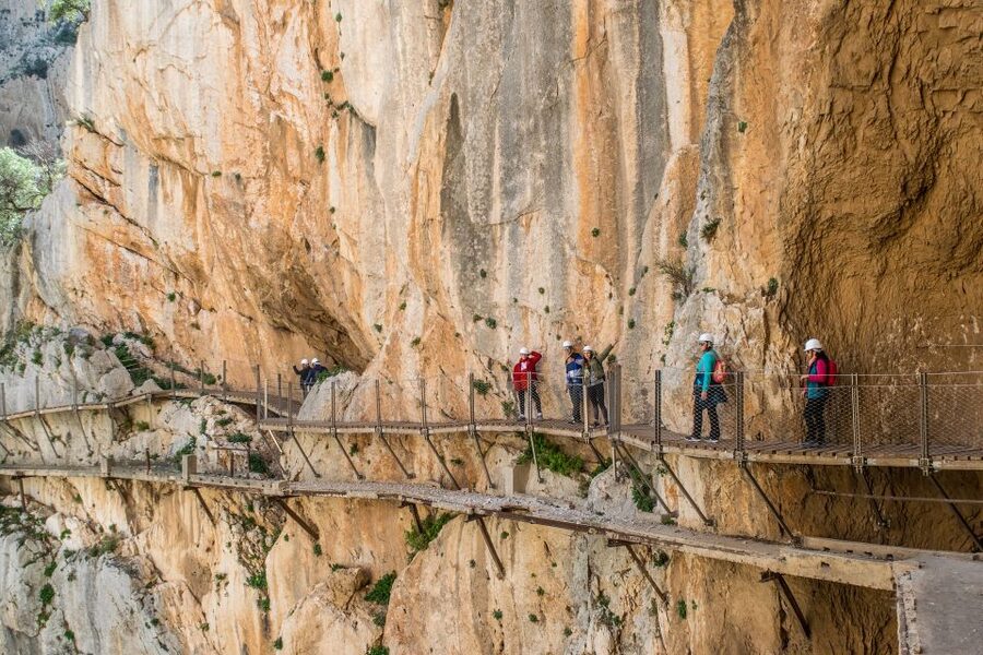 Costa del Sol: Caminito del Rey Guided Trip - The suspension bridge over the gorge