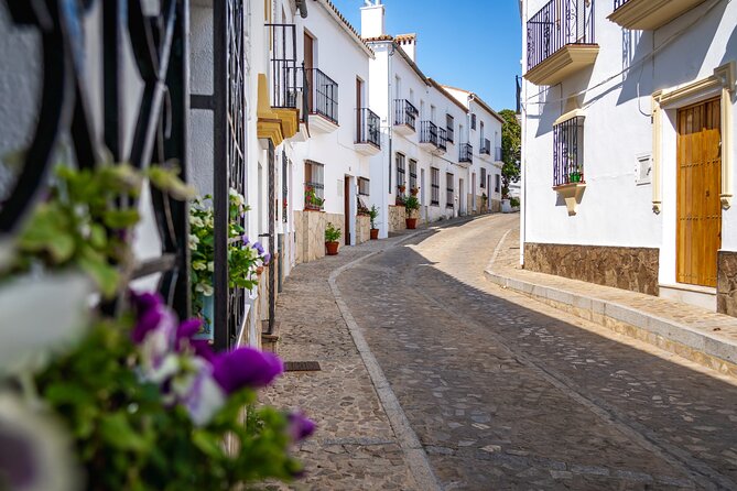 Day trip to Zahara, Setenil and Ronda from Seville - Guides, commentary, and the independent format