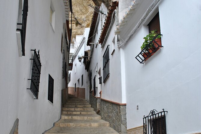 Day trip to Zahara, Setenil and Ronda from Seville - Who should book this day trip?