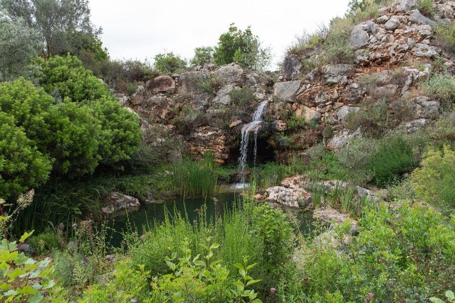 Denia: L'Albarda Garden Entry Ticket - Fountains, pools, and tiled walkways