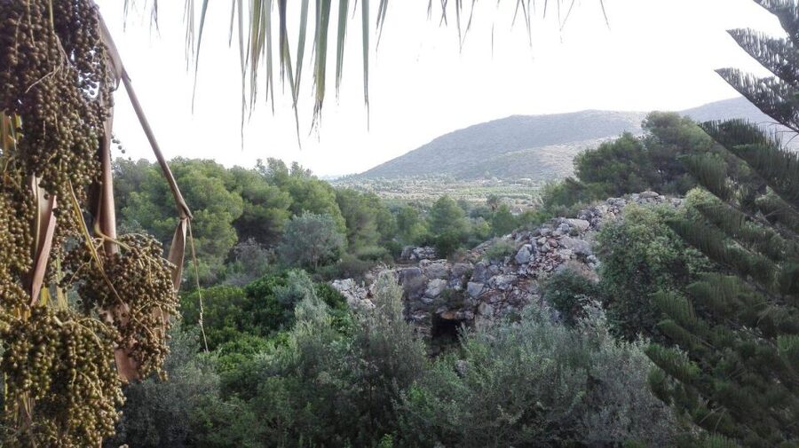 Denia: L'Albarda Garden Entry Ticket - The café and concert setting