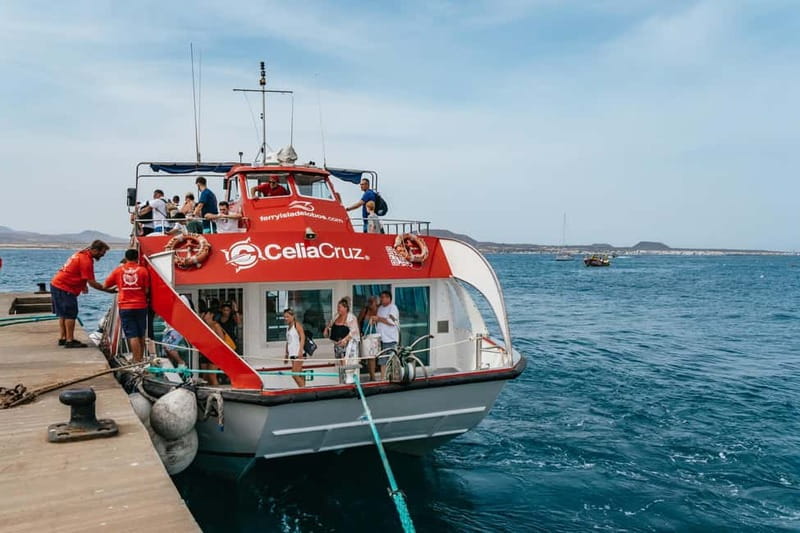Desde Corralejo: Lobos Island Ferry with Optional Transfer - Beaches, clear water, and time in the sea