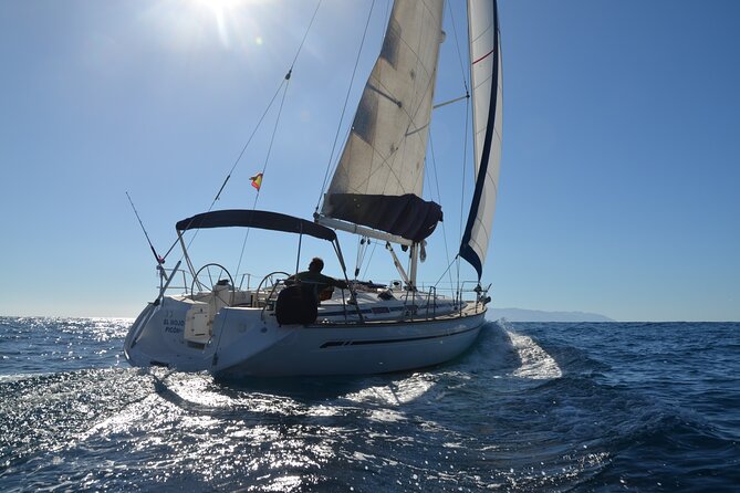 Dolphin and Whale Sailing Tour in Los Gigantes - Quick reasons to consider this boat trip