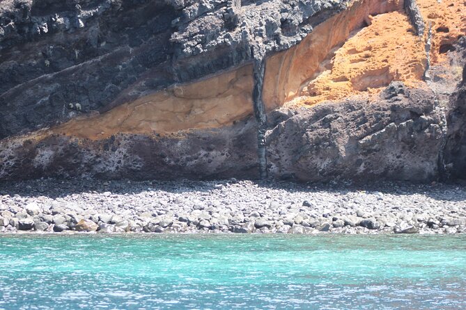 Dolphin and Whale Sailing Tour in Los Gigantes - Watching pilot whales along the Tenerife coast