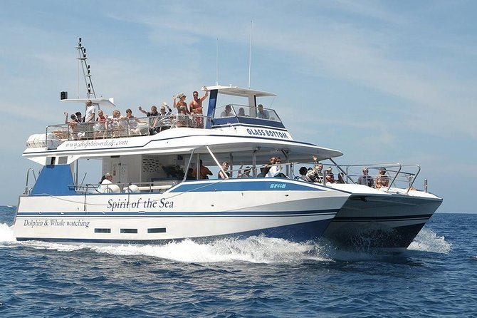 Dolphin and Whales watching cruise from Puerto Rico de Gran Canaria - The Real Issue: Rough Water and Seasickness