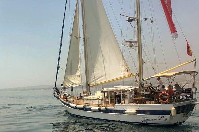 Dolphin Watching Adventure in Estepona Bay - A possible swim and time to relax