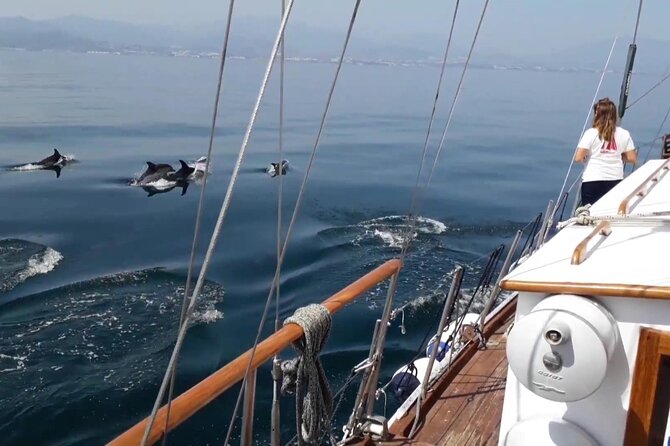 Dolphin Watching Adventure in Estepona Bay - How the dolphin search affects the itinerary