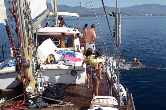 Dolphin Watching Adventure in Estepona Bay - Is $42.33 a fair price?