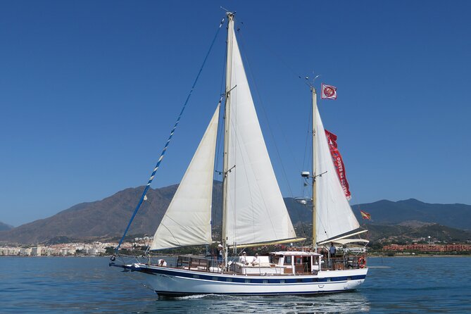 Dolphin Watching Adventure in Estepona Bay - Searching the bay for wild dolphins