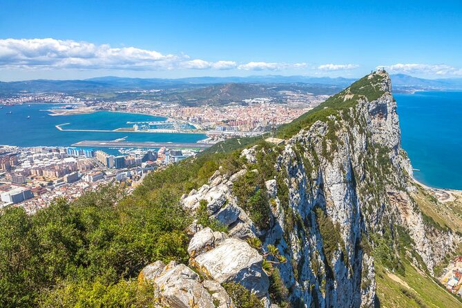 Dolphin Watching Excursion in Gibraltar - Key points to know before booking