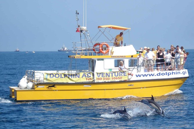Dolphin Watching Excursion in Gibraltar - From Admiral’s Walk to Dolphin Adventure