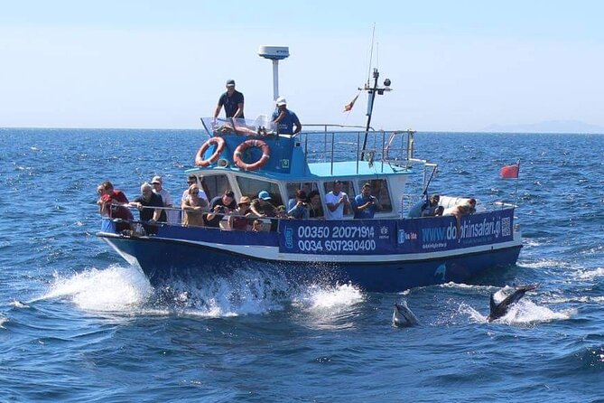 Dolphin Watching in Gibraltar Dolphin Safari V.I.P - Views of Gibraltar, Spain, and Morocco