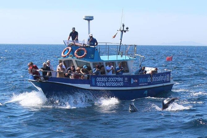 Dolphin Watching in Gibraltar Dolphin Safari V.I.P - Who should book this experience