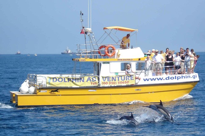 Dolphin Watching in Gibraltar & Fast Track Priority Cable Car - From the marina to the cable car