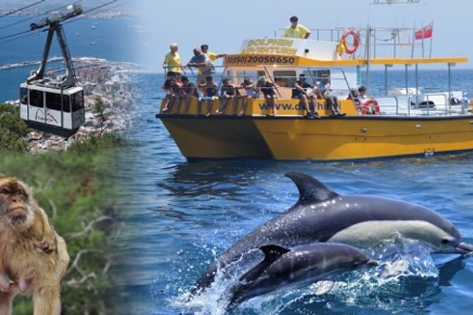 Dolphin Watching in Gibraltar & Fast Track Priority Cable Car - The 75-minute search for dolphins