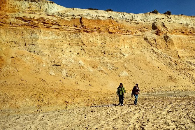 Donana National Park and El Rocío: Guided Tour from Seville - El Rocío, a village built for horses and pilgrims