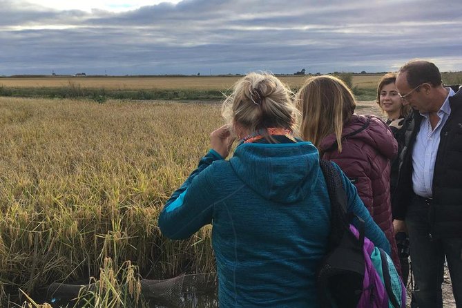 Donana National Park and El Rocío: Guided Tour from Seville - The return through the forest by 4x4