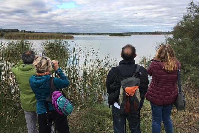 Donana National Park and El Rocío: Guided Tour from Seville - Is the $107.68 price fair?