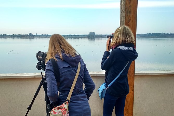 Donana National Park and El Rocío: Guided Tour from Seville - Dehesa de Abajo and the first serious birdwatching