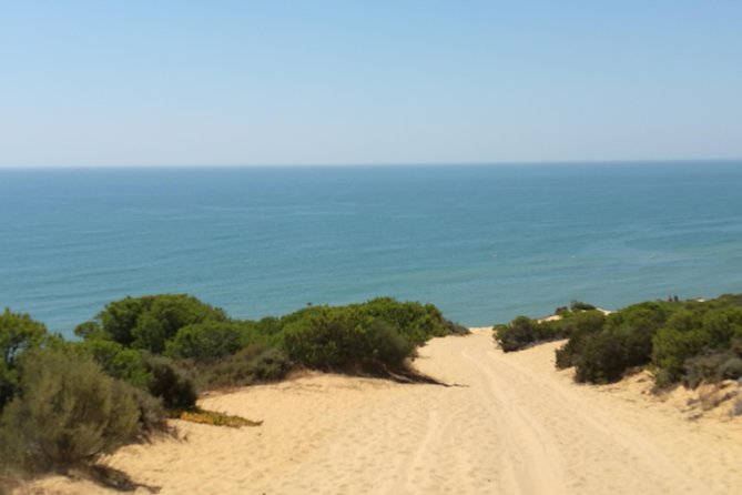 Donana National Park: Guided Day Tour from Seville - Why the season and weather matter