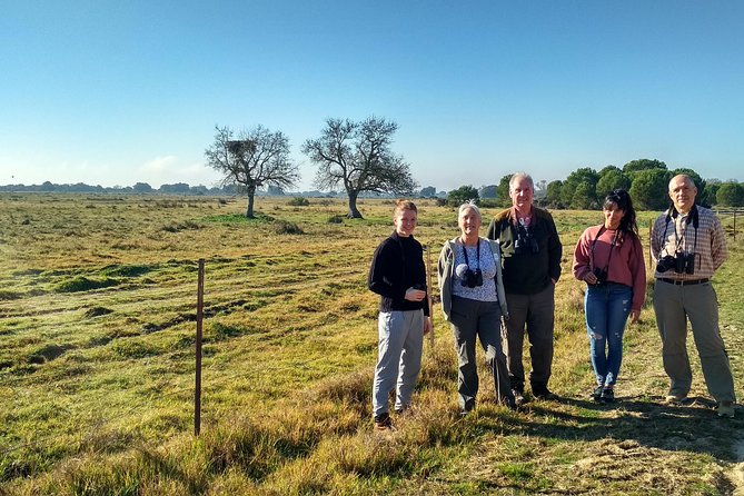 Donana National Park: Guided Day Tour from Seville - The 4x4 ride, comfort, and hearing the guide
