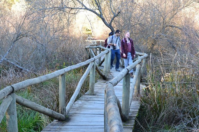 Donana National Park: Guided Day Tour from Seville - Is $95.34 good value from Seville?