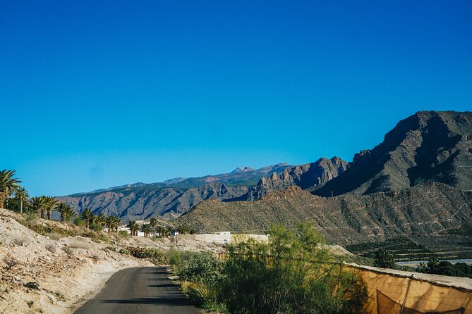 Double Tuk Tuk Tour in Costa Adeje - The black-sand beach and volcanic coast