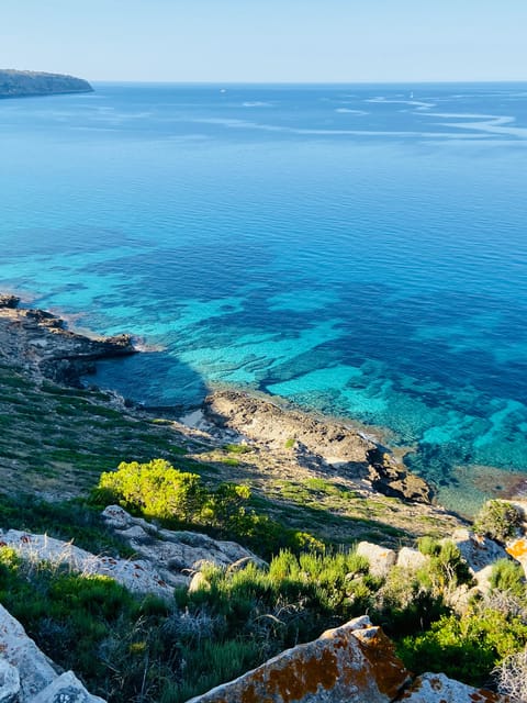 El Arenal: Private Mallorca Boat Rental (No License Needed) - What to pack for a comfortable boat day