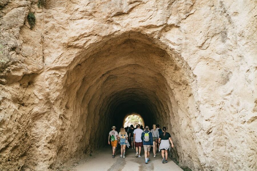 El Chorro: Caminito del Rey Guided Tour with Shuttle Bus - History, fossils, and stories along the route