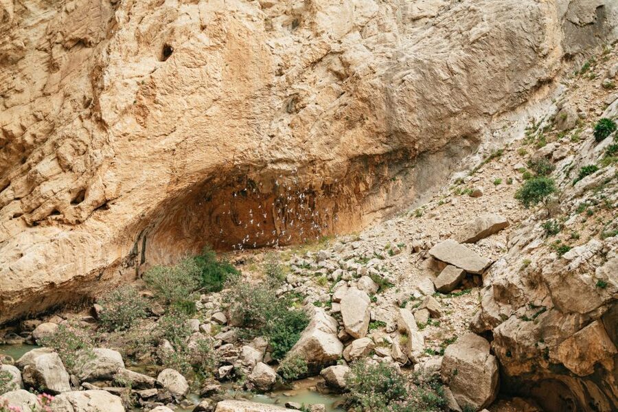 El Chorro: Caminito del Rey Guided Tour with Shuttle Bus - Safety, clothing, and what you cannot bring