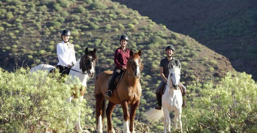 El Salobre: Horse Riding Adventure with Transfer Options - Key points at a glance