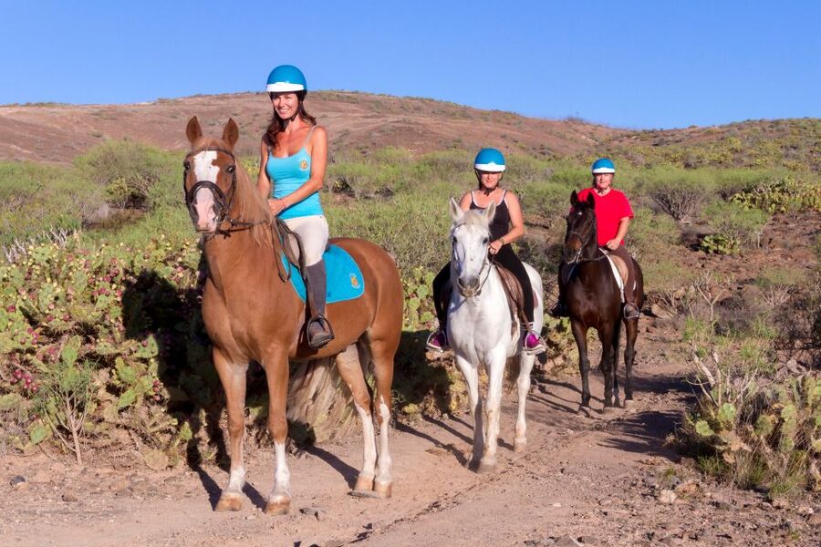 El Salobre: Horse Riding Adventure with Transfer Options - Riding above El Salobre’s volcanic hills
