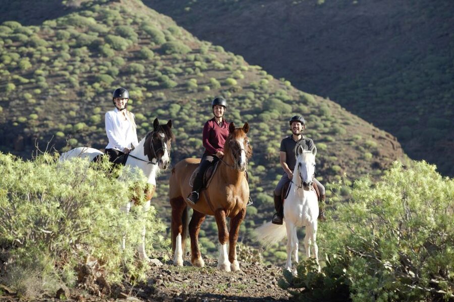 El Salobre: Horse Riding Adventure with Transfer Options - The mountain route and its changing views