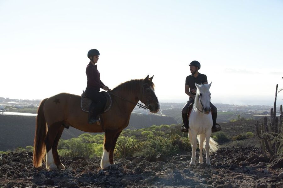 El Salobre: Horse Riding Adventure with Transfer Options - Is $75 good value?