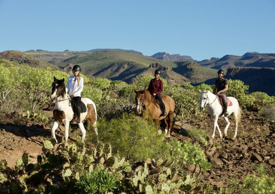 El Salobre: Horse Riding Adventure with Transfer Options - What the first few minutes are really like