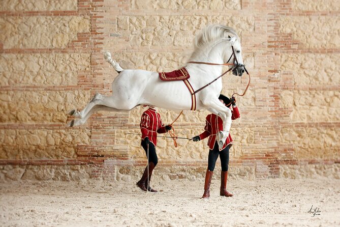Equestrian Show Royal Stables of Córdoba - Inside Córdoba’s sixteenth-century Royal Stables