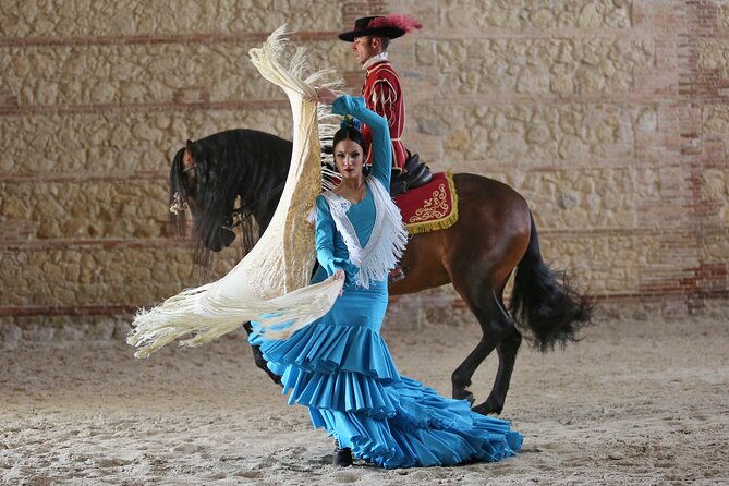 Equestrian Show Royal Stables of Córdoba - Choosing between general and premium seats