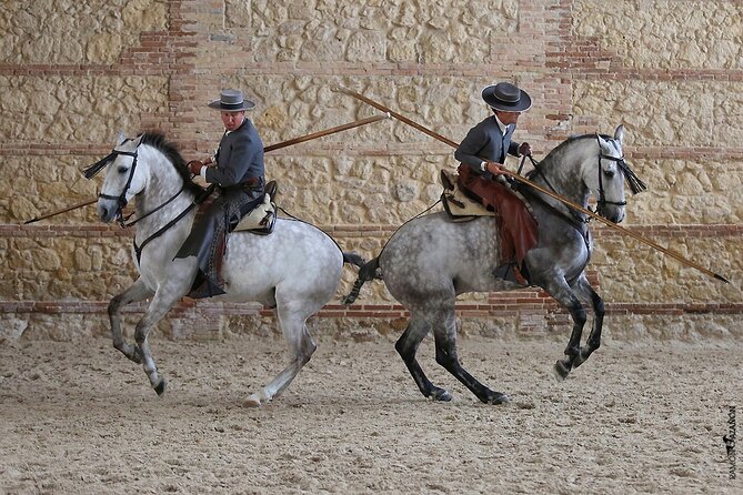 Equestrian Show Royal Stables of Córdoba - Arrival, transport, and the no-camera rule