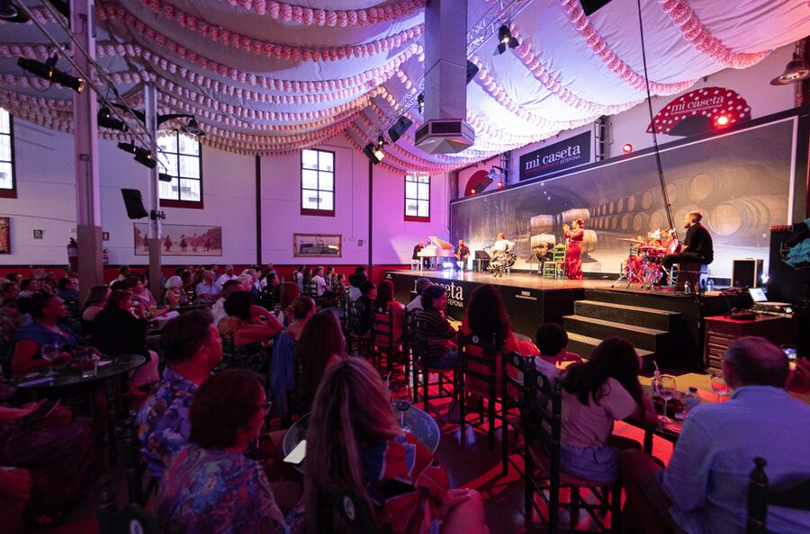 Estepona: Andalusian Flamenco Show Entry Ticket with Drink - Who should book this show?