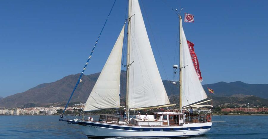 Estepona: Dolphin Watching Sailboat Cruise with Drink - Leaving from Pontoon 6 in Estepona