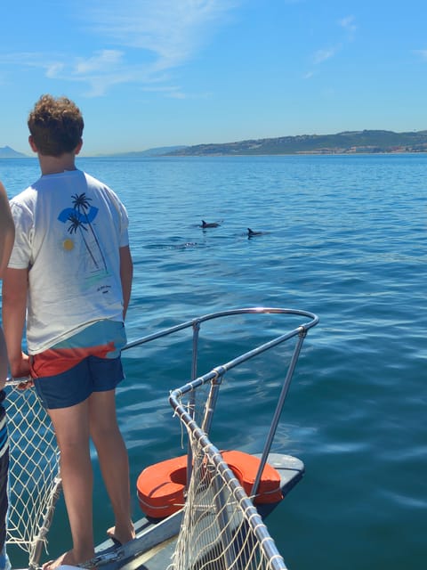 Estepona: Dolphins Searching Sea Cruise with Drink & Snacks - Sunset timing and the best feel of the cruise